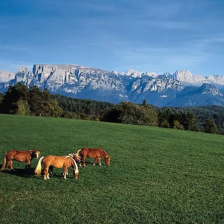 Ξενοδοχείο Linde 3*